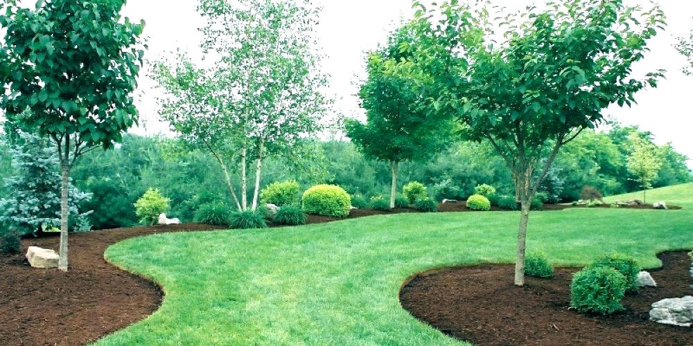 Lawn y Mantenimiento por Green Horse